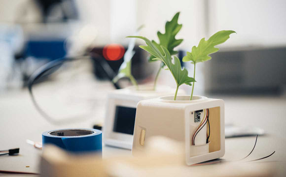 Tech Explorer im Digital Hub münsterLAND