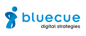 bluecue consulting GmbH & Co. KG Logo